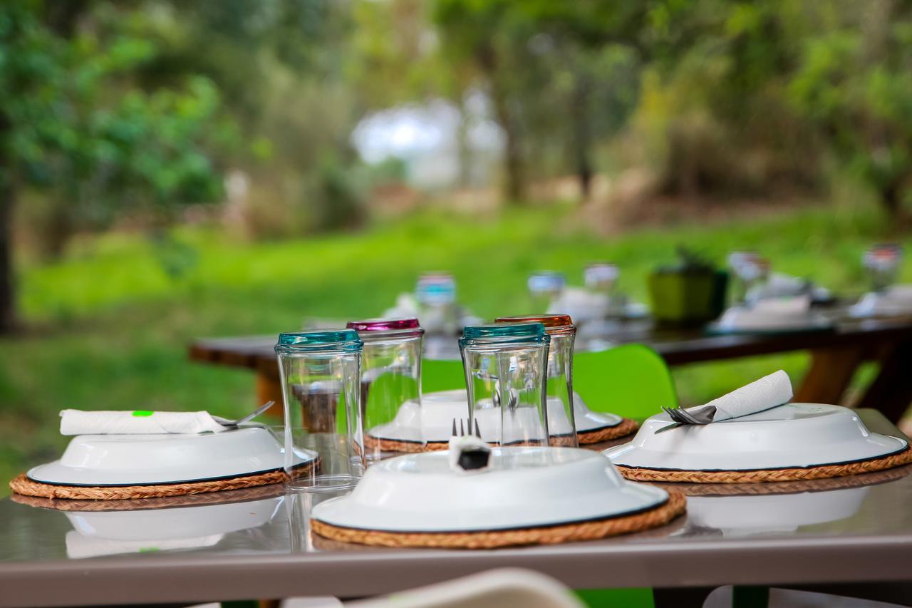 Bushbaby Lodge at Nkonyeni Manzini Eksteriør billede